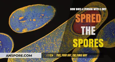 How C. Diff Spores Spread: Understanding Transmission Risks and Prevention