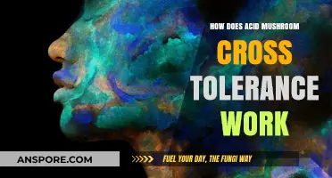 Psychedelics and Acid Mushrooms: Cross Tolerance Explained