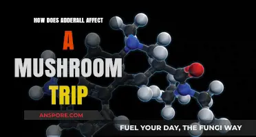 Adderall and Shrooms: A Trippy Mix?