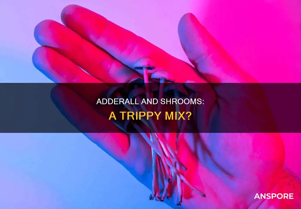 how does adderall affect a mushroom trip