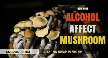 Alcohol and Mushrooms: A Toxic Mix?
