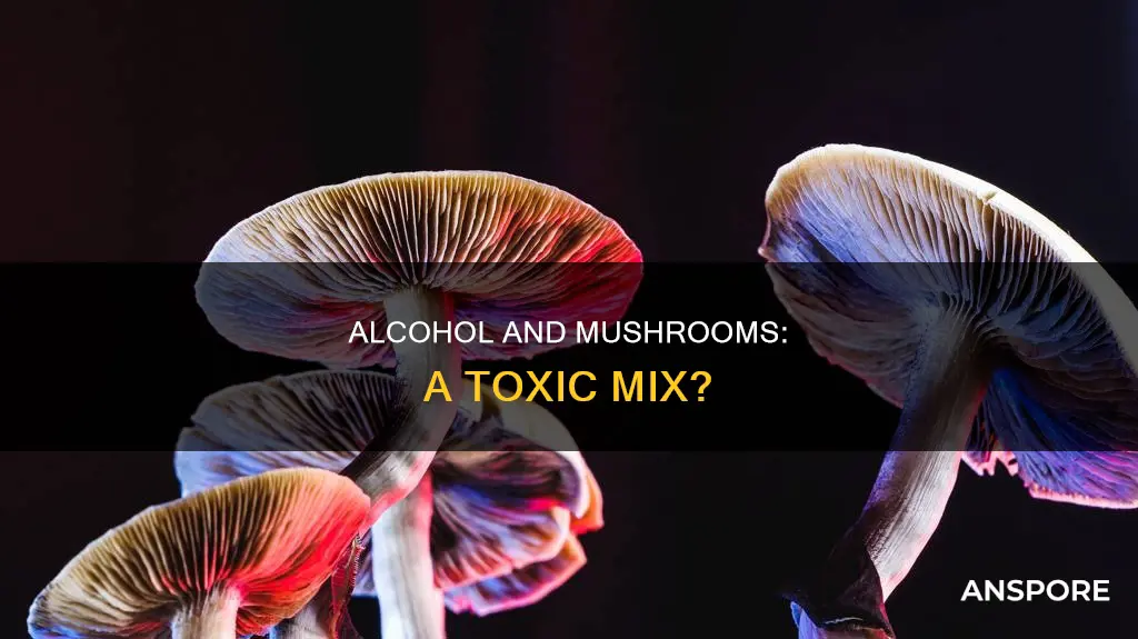 how does alcohol affect mushrooms