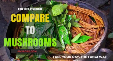 Ayahuasca vs. Mushrooms: A Comparison of Psychedelic Experiences