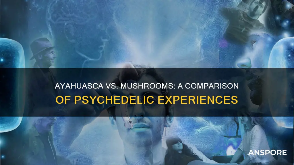 how does ayahuasca compare to mushrooms