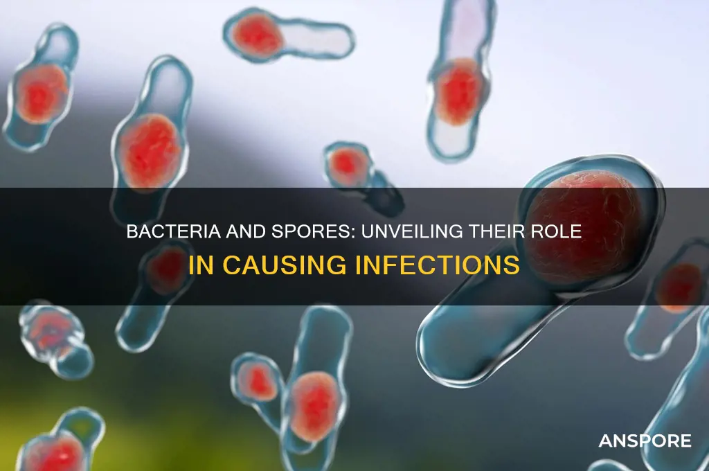 how does bacteria and bacterial spores act to cause infection