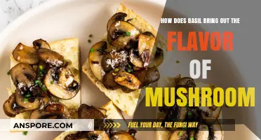 Basil and Mushrooms: A Flavor Symphony