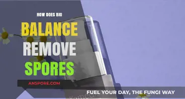 Bio Balance's Effective Method to Eliminate Spores: A Comprehensive Guide