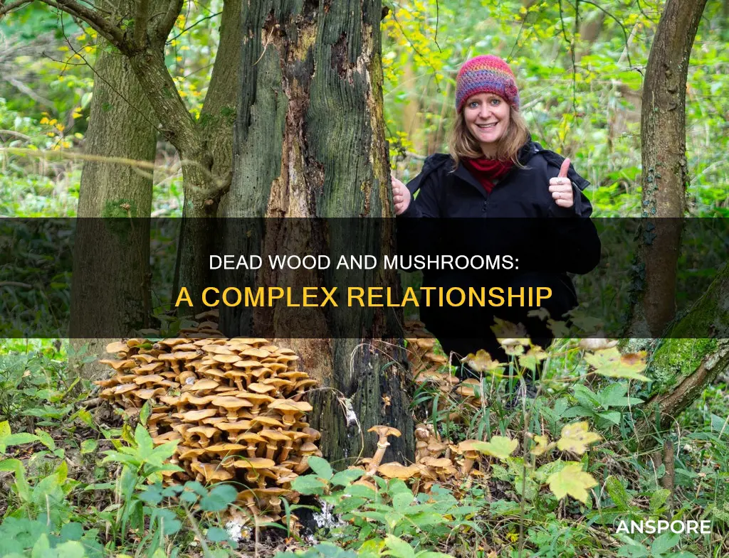 how does dead wood affect mushrooms