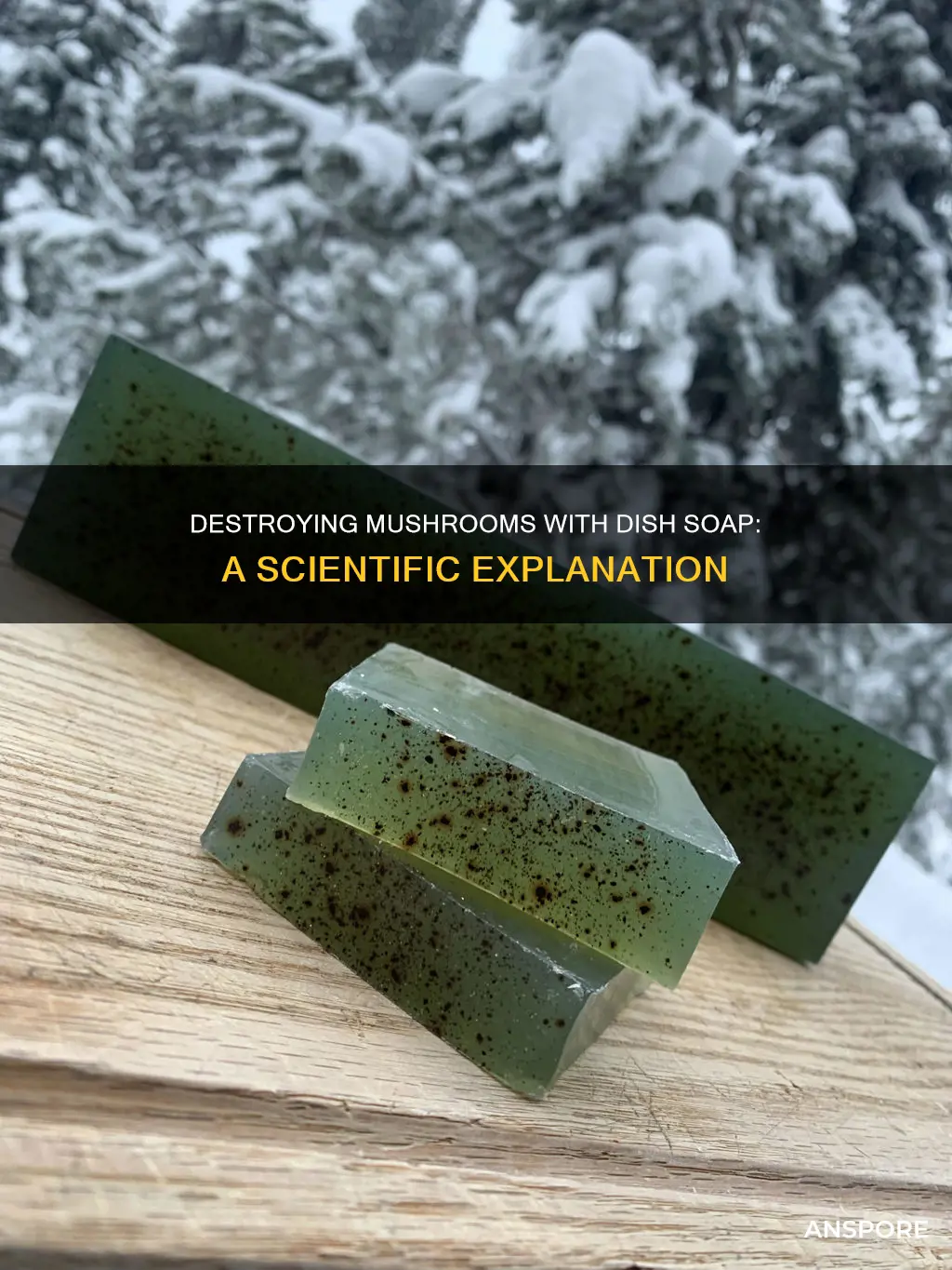 how does dish soap kill mushrooms