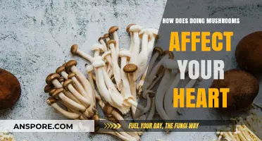 Magic Mushrooms: Heart Health Risks and Benefits