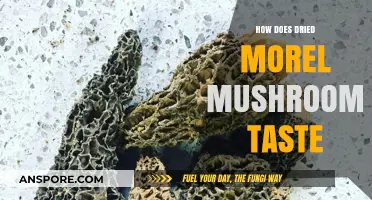 Exploring the Earthy, Nutty, and Complex Flavor of Dried Morel Mushrooms