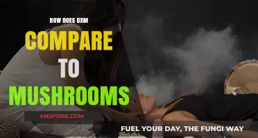 Psychedelics: DXM vs Mushrooms