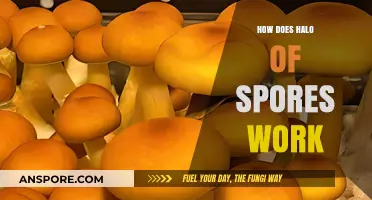 Understanding the Halo of Spores: Mechanics, Effects, and Strategic Use