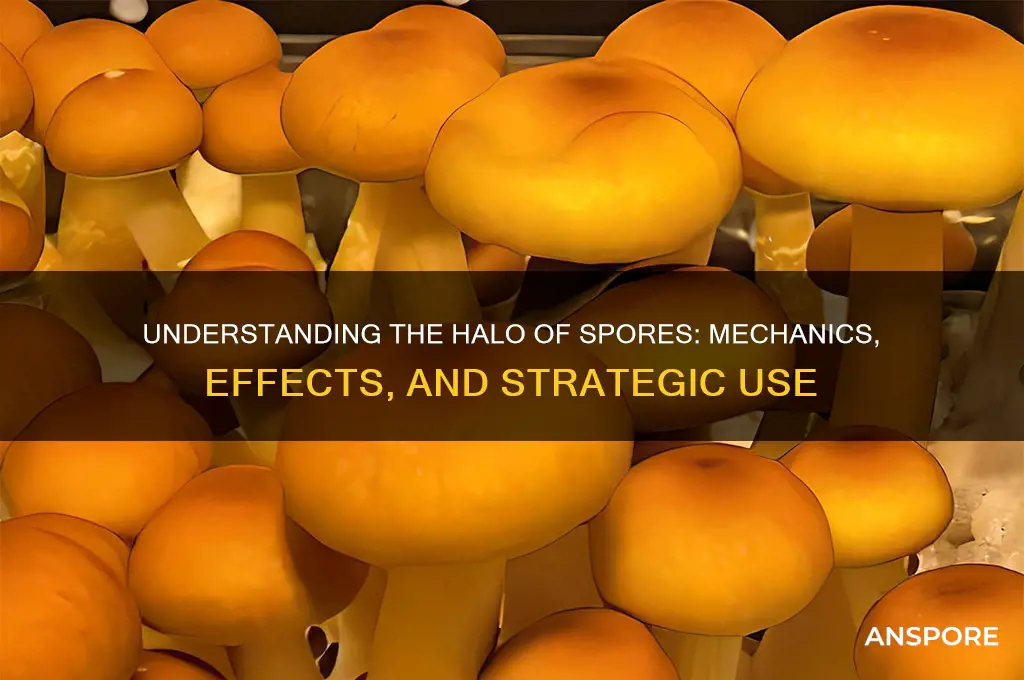 how does halo of spores work