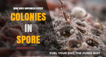 How Happiness Shapes Colony Growth and Success in Spore