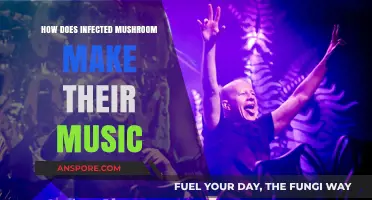Unveiling Infected Mushroom's Creative Process: Crafting Psychedelic Electronic Masterpieces