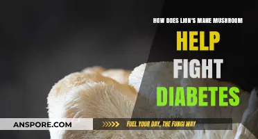 Lion's Mane Mushrooms: Diabetes' Natural Ally