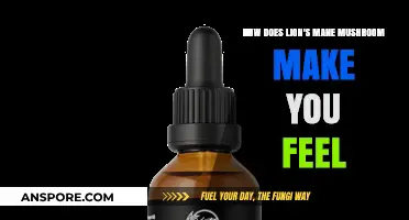 Lion's Mane Mushroom: Unlocking Focus, Energy, and Mental Clarity Naturally