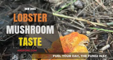 Lobster Mushrooms: A Unique Taste of the Sea