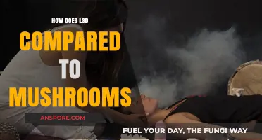 Psychedelics: Comparing the Trips of LSD and Magic Mushrooms