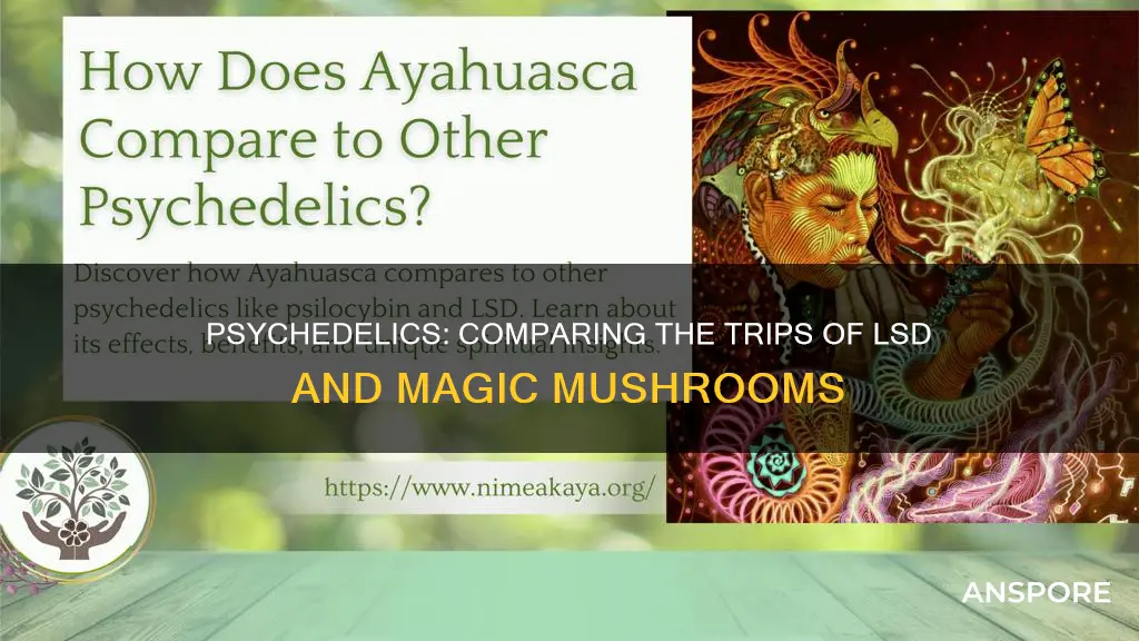 how does lsd compared to mushrooms