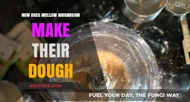 Mellow Mushroom's Dough Secrets: Crafting the Perfect Pizza Base