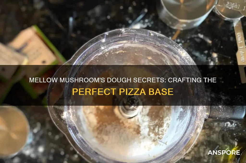 how does mellow mushroom make their dough