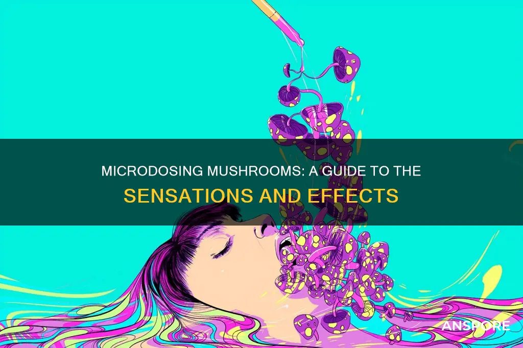 how does microdosing mushrooms feel