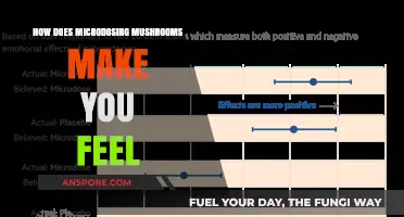 Microdosing Mushrooms: Unveiling the Subtle Emotional and Cognitive Shifts