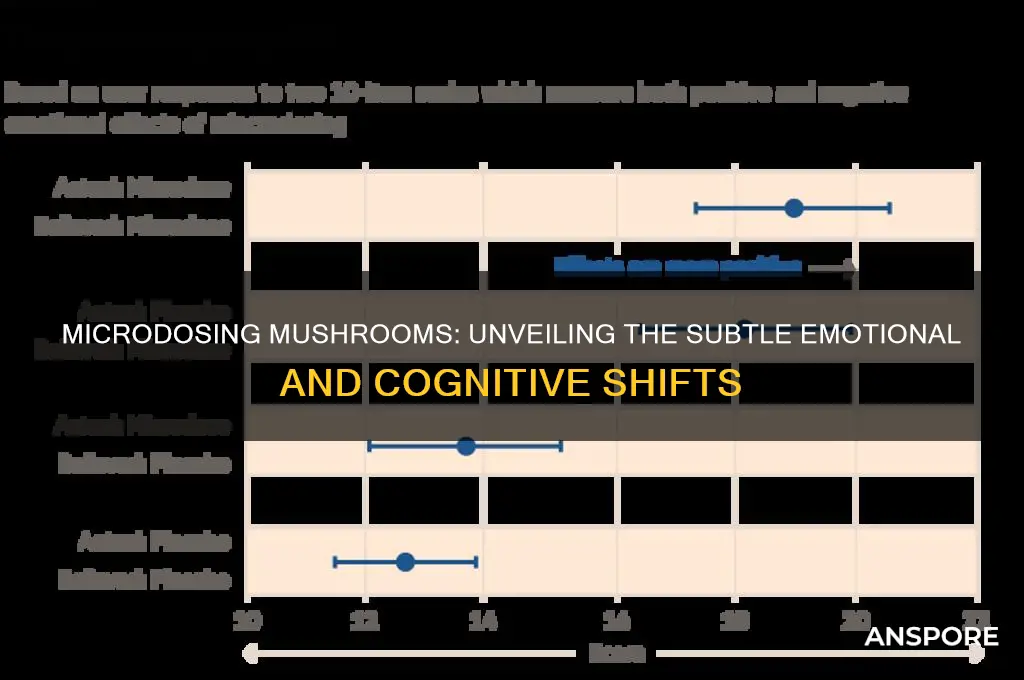 how does microdosing mushrooms make you feel