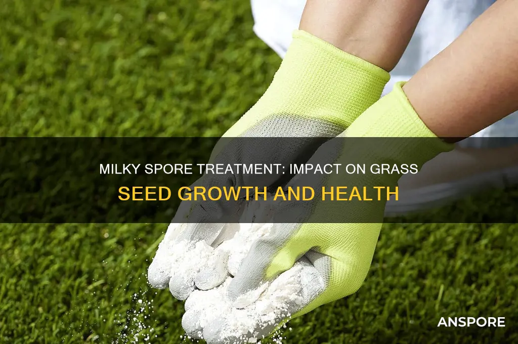 how does milky spore treatment affect grass seed
