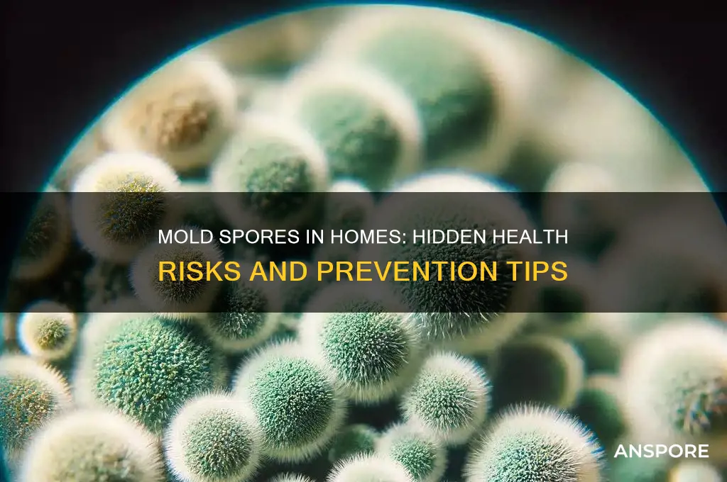how does mole spores in a house affect your health