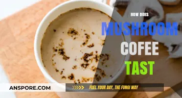 Mushroom Coffee: Earthy, Nutty, or Bland?