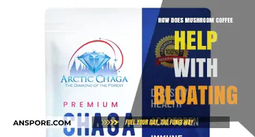 Mushroom Coffee: Reducing Bloat, Improving Gut Health