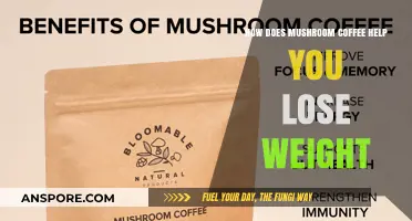 Mushroom Coffee: Weight Loss Super Brew?