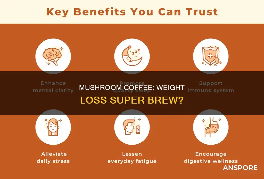 how does mushroom coffee help you lose weight