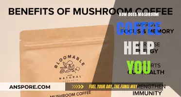 Mushroom Coffee: Supercharge Your Day