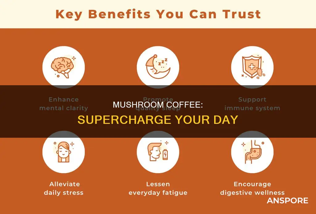 how does mushroom coffee help you