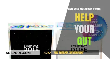 Mushroom Coffee: A Gut-Friendly Brew