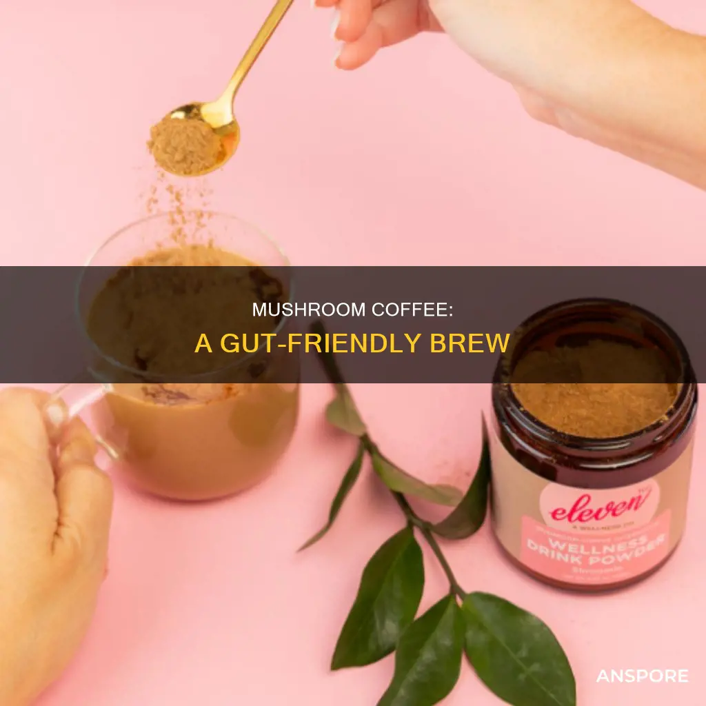 how does mushroom coffee help your gut