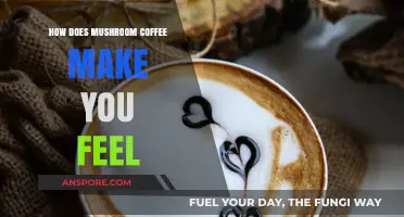 Mushroom Coffee Buzz: Energy, Focus, and Calm Explained