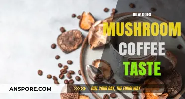 Mushroom Coffee: Earthy Taste or Just Plain Weird?
