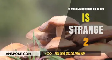 The Tragic End of Mushroom in Life is Strange 2