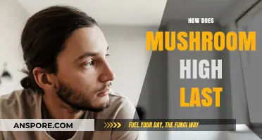 Mushroom Trips: How Long Do They Last?