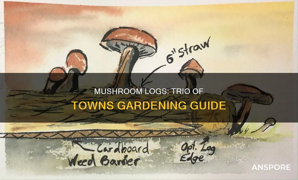 how does mushroom log work in trio of towns