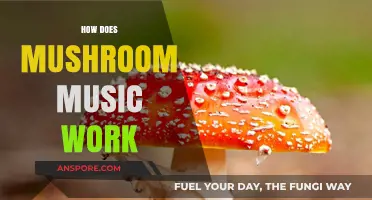 Mushroom Music: Nature's Symphony Explained
