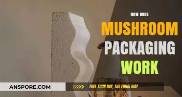 Mushroom Packaging: Sustainable Solution for Businesses