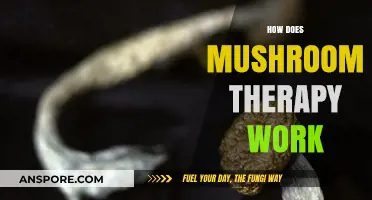 Mushroom Therapy: Healing Power of Psychedelics