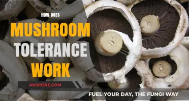 Understanding Mushroom Tolerance: A Guide
