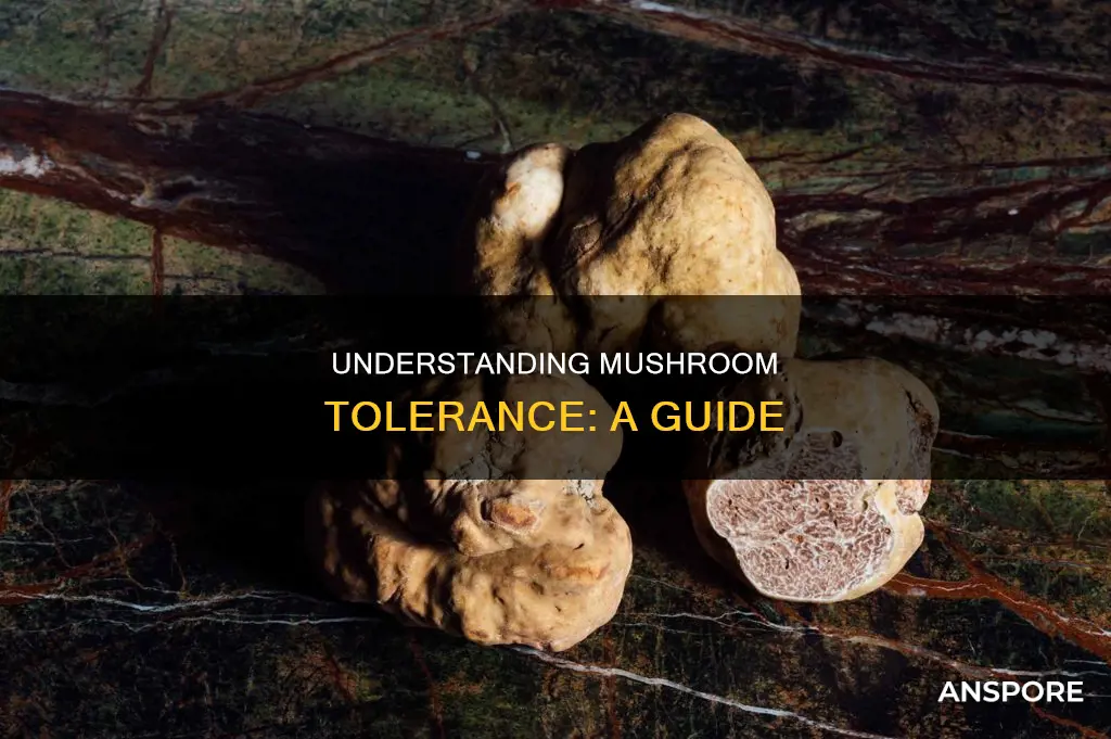 how does mushroom tolerance work